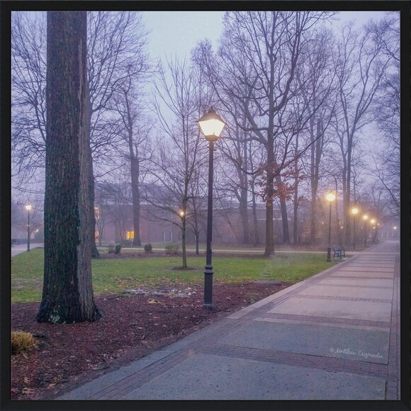 Into the Fog...
